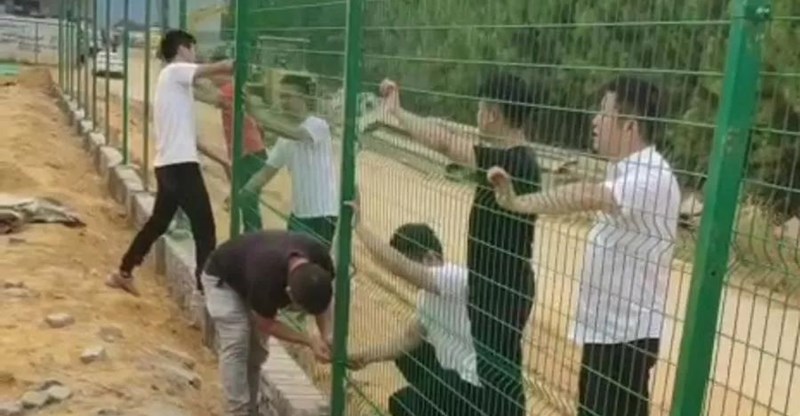 ϲ����pc28��(�й���)�ٷ���վ