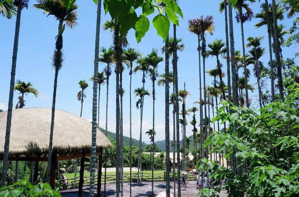 ϲ����pc28�عɼ���