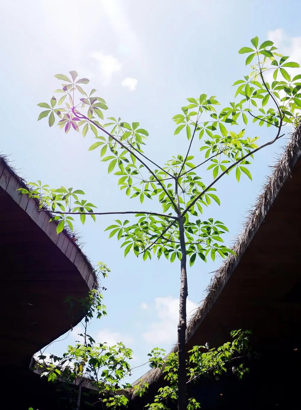 ϲ����pc28��(�й���)�ٷ���վ